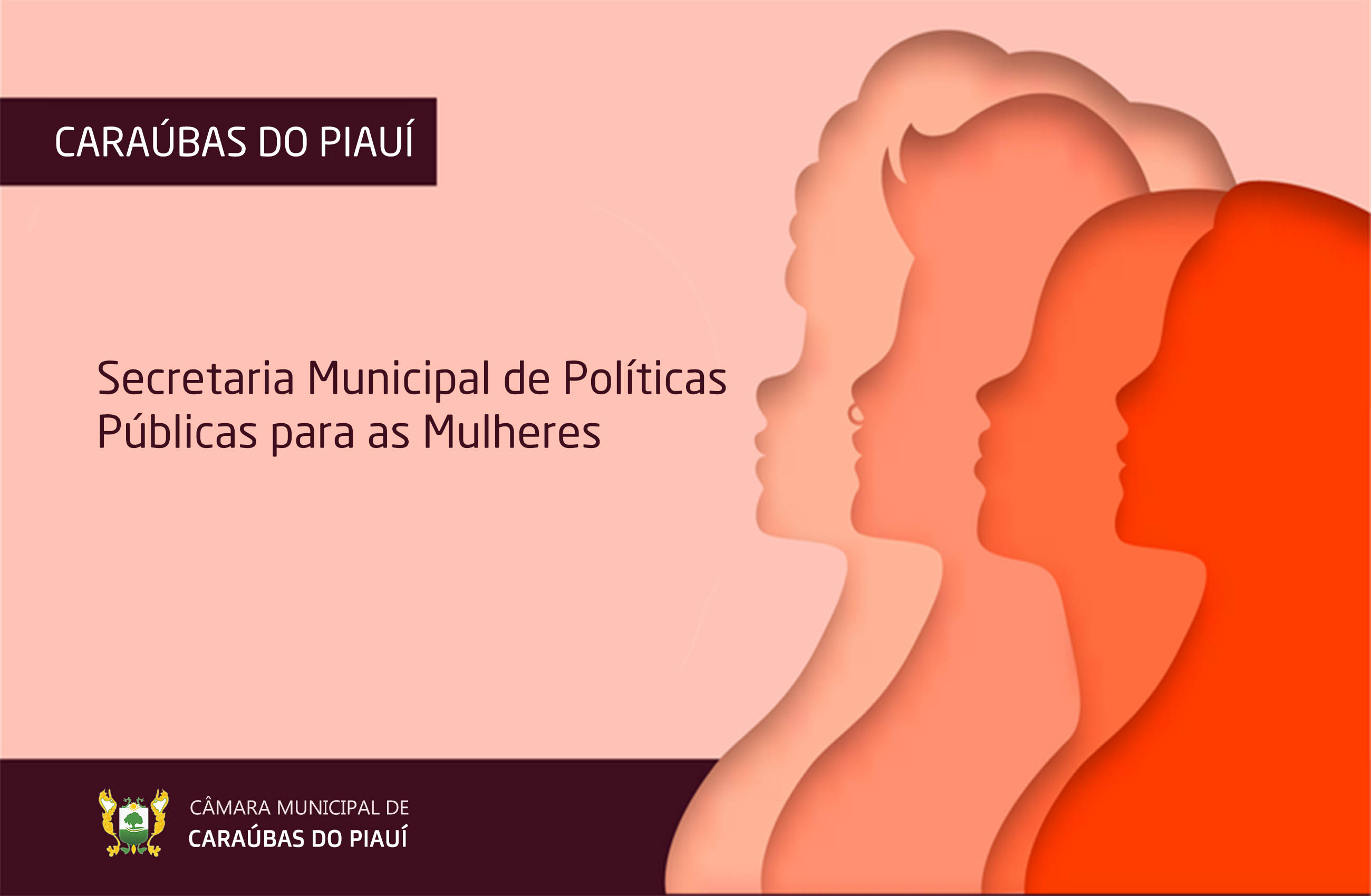 Câmara aprova projeto de Executivo para criação da Secretaria Municipal de Políticas Públicas para as Mulheres